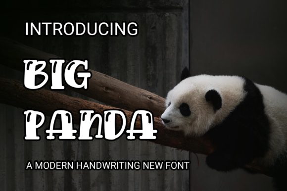 Big Panda Font Review